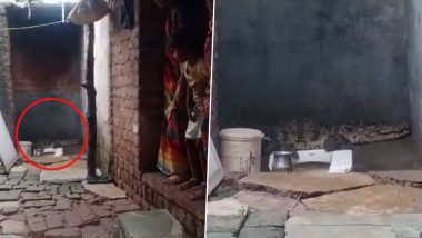Video: Huge Crocodile Turns Up in Toilet in Gujarat’s Anand, Sends Residents Into Tizzy Early Morning