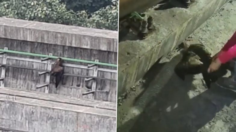 Video: Black Kite Stuck on Viaduct Near Akurli on Mumbai Metro Line-7 Recused After Operational Hours