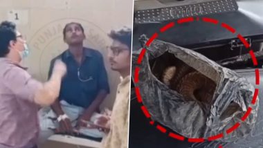 Video: Drunk Man Brings King Cobra to UP Hospital, Claims 'Venomous Snake Died After Biting Him'