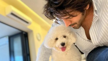 Kartik Aaryan Shares an Adorable Photo on Insta With His Pet Katori (View Pic)