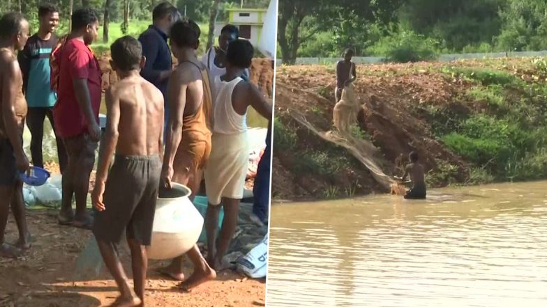 Chhattisgarh: Fishing Business Resume in Dubbatota, Decades After Naxalites Disrupted It