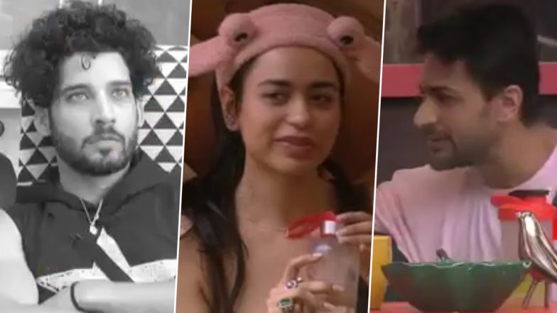 Bigg Boss 16: Gautam Vig Calls Shalin Bhanot 'Cheap' for Kissing Soundarya Sharma (Watch Promo Video)