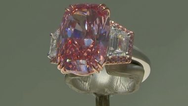 Video: Williamson Pink Star Diamond Sells for Over $49 Million in Hong Kong With Highest Price per Carat