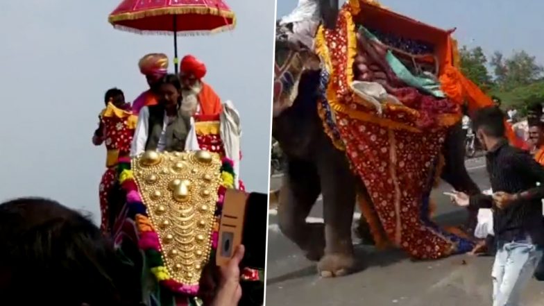 Video: Accidental Electric Shock Makes Elephant Anxious, Mahout, 2 Other Fall Down