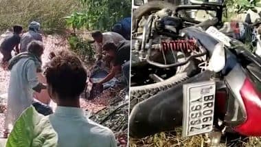 Video: People Loot Tomatoes After Road Accident in Bihar’s Muzaffarpur While Injured Lies on Road