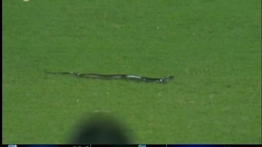 Sports News | Snake Interrupts Play During Second IND-SA T20I; Match Resumes After Few Minutes
