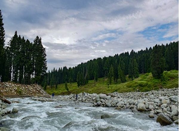 World News | Violence Against Civilians Decreased, Tourism Improved in Kashmir After Article 370 Abrogation: Expert
