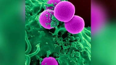 Health News | The Hepatitis B-neutralizing Cell Sentinel