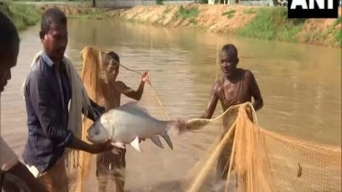 India News | Fisheries Resumes in Sukma After Being Burried by Naxalism