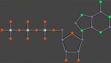 Science News | Ancient Chemistry Explains Why ATP is Universal Energy Unit Used by All Living Things
