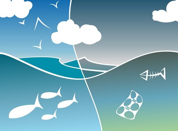 Science News | What Causes Ecosystems to Become Unstable?