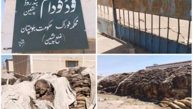 World News | Wheat Rots Reportedly in Government Godowns in Balochistan Amid Dire Food Crisis