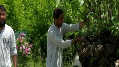 India News | Govt Working on Multipronged Strategy for Holistic Development of Sericulture Across J-K