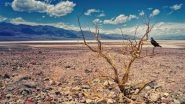 Science News | 2022 Summer Droughts Became Extremely Likely Due to Climate Change