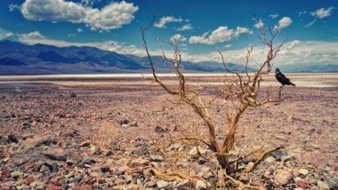 Science News | 2022 Summer Droughts Became Extremely Likely Due to Climate Change