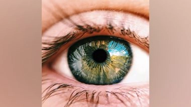 Health News | Study Discovers How Adult Brain Has the Capacity to Partially Recover from Hereditary Blindness