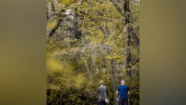 Health News | Underlying Health Issues Linked to Poor Outcomes After Fracture in Older Adults: Study