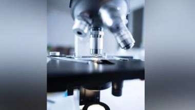 Science News | A Harmful Bacterium Found in Potatoes Produces New Antibiotic