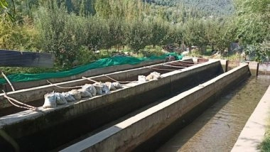 India News | Sunshines on Fish Farming in J-K's Bandipora; Lucrative Employment Choice for Youth