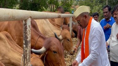 India News | Karnataka Minister Urges People to Have Goshala in Every  Village for Cattle Fodder | LatestLY