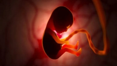 Health News | Study Finds Impact of Social Disadvantages on Fetal Brain Development