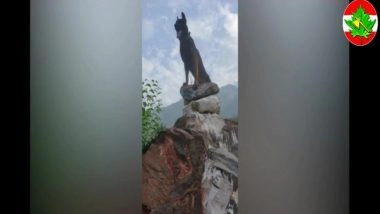 India News | Next 24-48 Hours Critical for Assault Dog 'Zoom', Injured in Attack on J-K Terrorists, Says Army