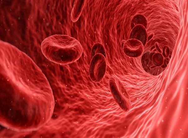 Health News | For Peripheral Artery Disease Treatment, Symptoms, Quality of Life Are Crucial