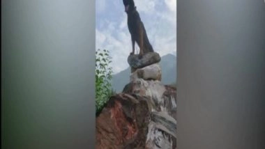 India News | Indian Army Dog Zoom Located, Disabled Terrorists in His Last Operation