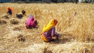 Business News | Atmanirbhar Agriculture Key to Becoming Self-reliant India: MoS Kailash Choudhary