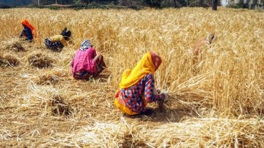 Business News | Atmanirbhar Agriculture Key to Becoming Self-reliant India: MoS Kailash Choudhary