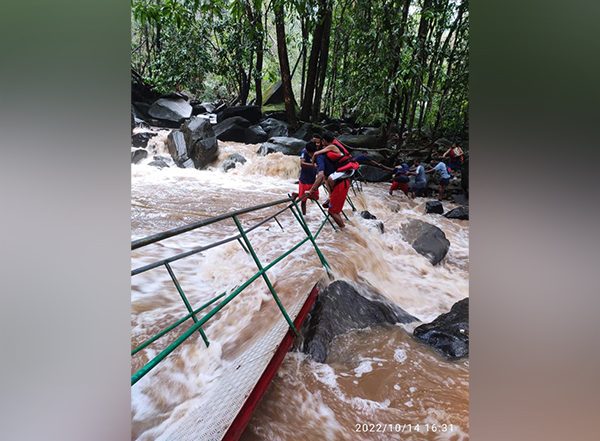India News | Goa: Over 40 Rescued at Dudhsagar Waterfalls After Cable Bridge Collapses