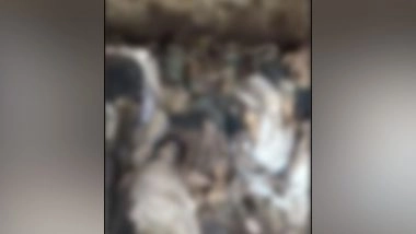 World News | Pakistan: 200 Rotting Corpses Found on Hospital Roof in Multan