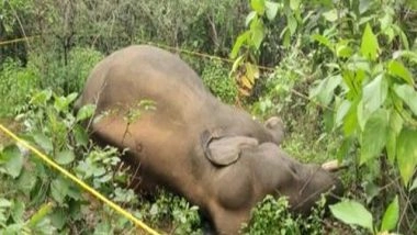 India News | Tusker Found Dead in Chhattisgarh's Ramanujganj Forest