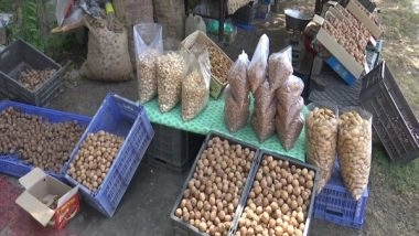 India News | Timely Rainfall Helped Increase the Walnut Crop Production in Kashmir