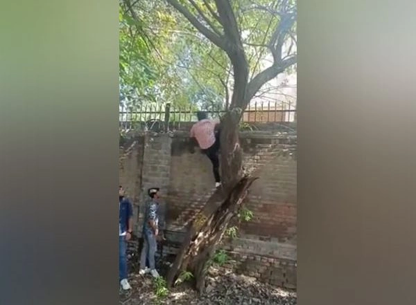 India News | Miranda House College Fest: Delhi Police Take Suo Moto Cognizance, Register FIR
