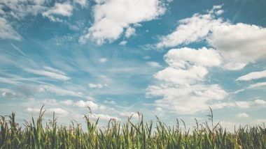 Science News | Study Reveals How Photosynthesis Adapted to the Rise of Oxygen