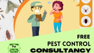 Business News | Pai Hygiene and Healthcare Announces Free Consultation for Organic Pest Control
