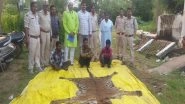 India News | Chhattisgarh: 6 Accused Held with Tiger, Leopard Skins in Surajpur