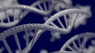 Health News | Study: Hair Straightening Chemicals Associated with Higher Uterine Cancer Risk