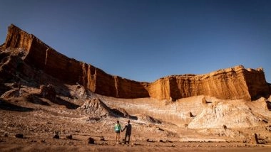 Science News | World's Driest Desert Has Spectacular Blooms, but the Secret is Invisible to Human Eyes