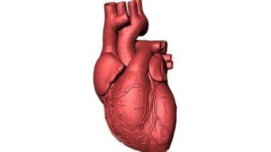 Health News | Patients with Enlarged Hearts Have Better Health: Research