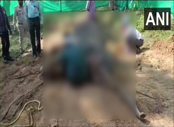 India News | Carcass of Elephant Found in Chhattisgarh's Surajpur