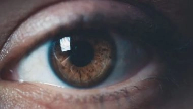 Health News | Daily Food Items That Can Be Helpful in Improving Eyesight