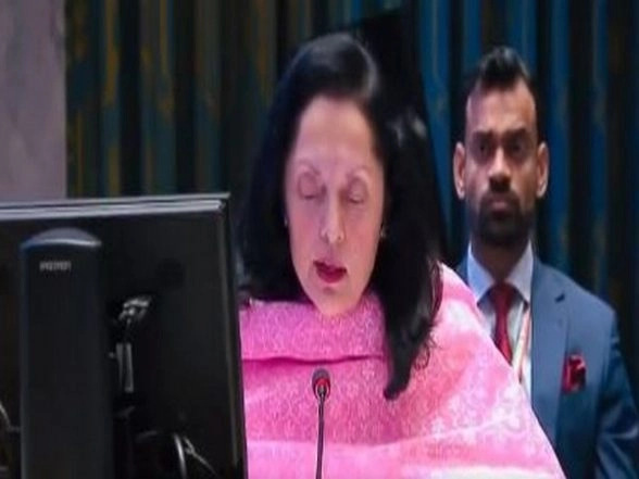 No Military or Armed Solution to Libya's Issues: India at UNSC