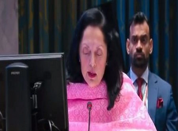 World News | No Military or Armed Solution to Libya's Issues: India at UNSC