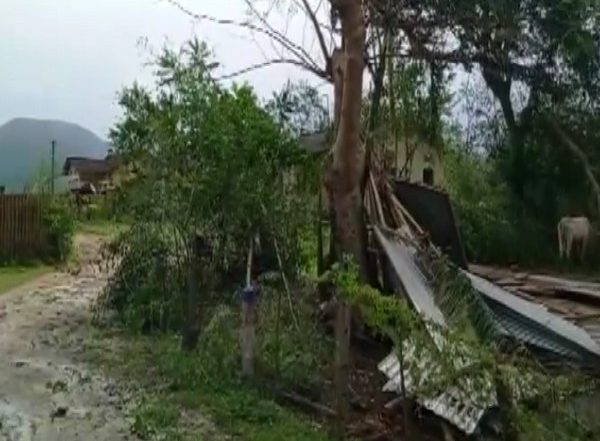 Cyclone Sitrang: Several Houses Damaged, Trees Uprooted Due to Heavy Rains in Assam