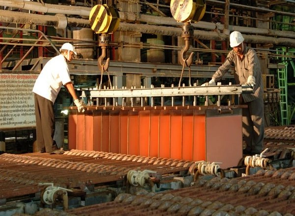 Business News | Hindustan Copper Pays Rs 74.20 Crore as Dividend to Government