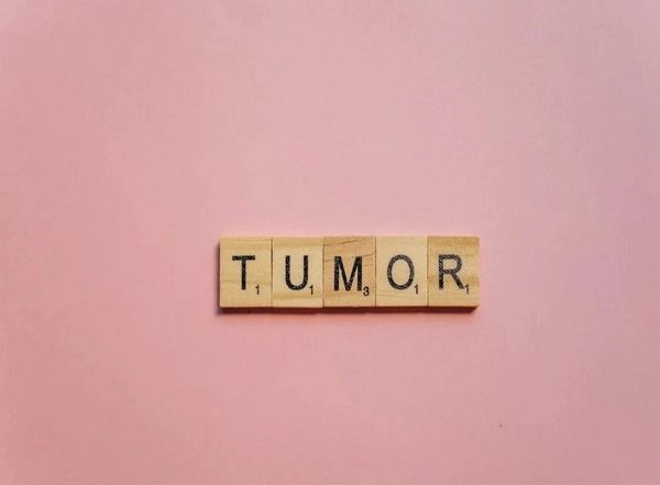 Health News | Researchers Using Magnetic Bacteria to Fight Tumors