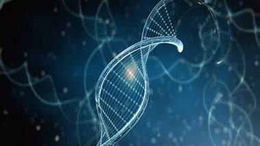 Science News | New Research Sheds Light on How Genes Turn on and off