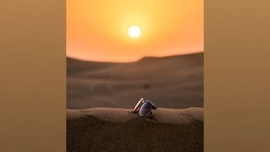 Science News | Heat Waves Due to Climate Change Have Cost World Economy Trillions So Far